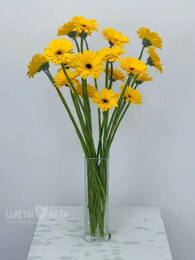 Букет: &laquo;Желтая гербера&raquo; 