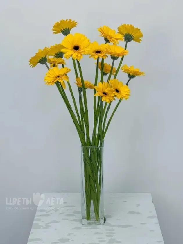 Букет: &laquo;Желтая гербера&raquo; 