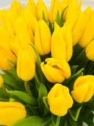 Букет: &laquo;Желтые Тюльпаны 51&raquo;