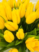 Букет: &laquo;Желтые Тюльпаны 51&raquo;