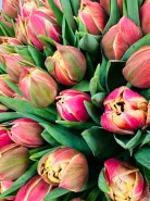 Букет: &laquo;Пионовидный Тюльпан 101&raquo;