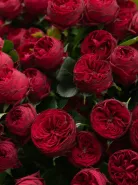 Букет из 51 Красной Кустовой Розы