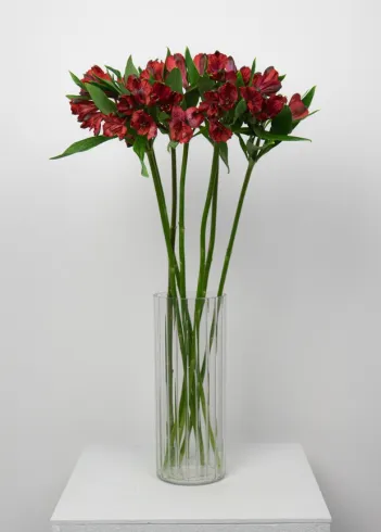 Букет мини: &laquo;Красная альстромерия&raquo;  от интернет-магазина цветов в 