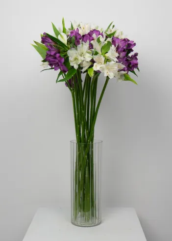 Букет медиум: &laquo;Бело-фиолетовый микс альстромерия&raquo; 