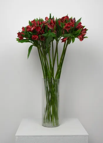 Букет медиум: &laquo;Красная Альстромерия&raquo; 