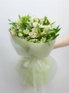 Монобукет: &laquo;Белая Альстромерия&raquo;