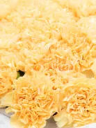 Букет: &laquo;Желтый Диантус&raquo;