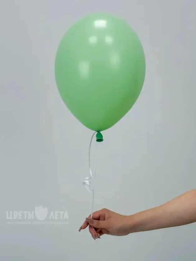 Шар латекс: &laquo;Зеленый&raquo;