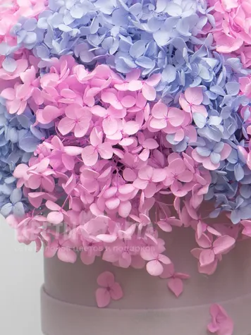 Композиция с Стабилизированной Розовой Гортензией