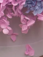 Композиция с Стабилизированной Розовой Гортензией