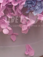 Композиция с Стабилизированной Розовой Гортензией