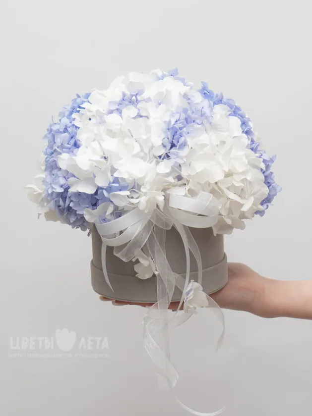 Композиция со стабилизированной Лавандовой Гортензией