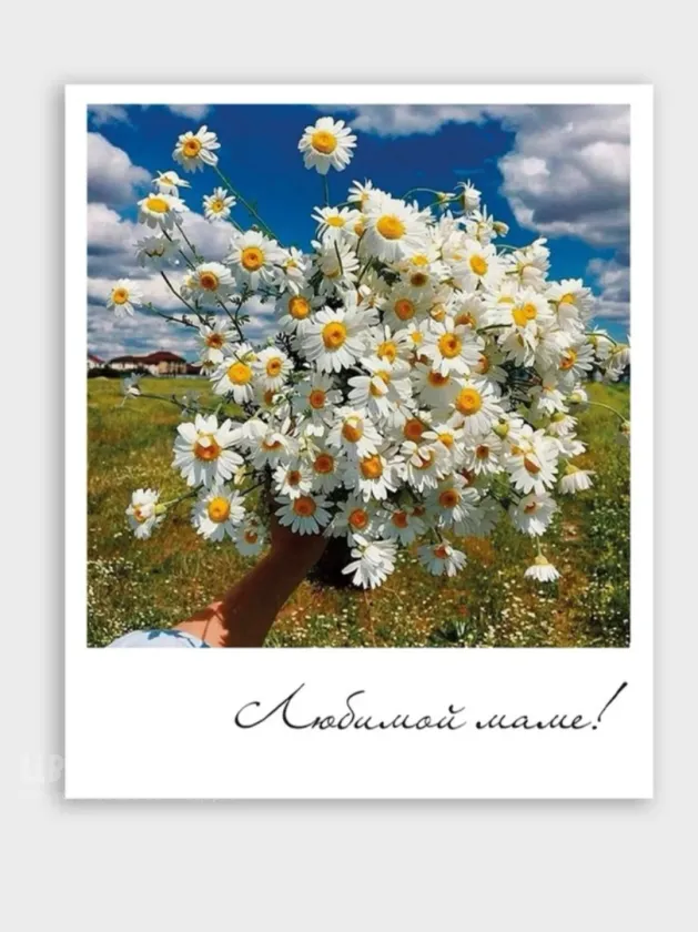 Фотокарточка: &laquo;Любимой маме!!!&raquo;