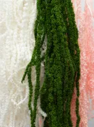 Амарант Зеленый