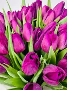 Букет: &laquo;Фиолетовые Тюльпаны 51&raquo; 