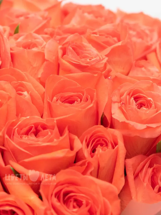 Монобукет: Оранжевая Роза Кения 45см