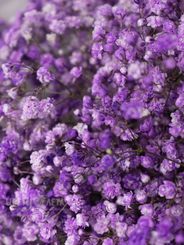 Букет: &laquo;Облако Лавандовой Нежности&raquo;