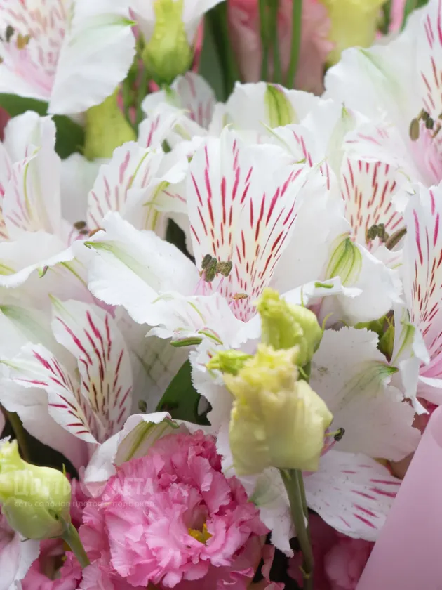 Букет: &laquo;Белый луг&raquo;