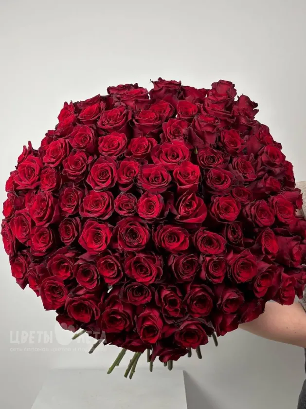 Букет из 101 розы &laquo;Эксплоер&raquo; 60см