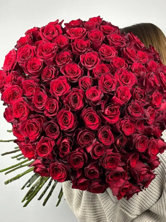 Букет из 101 розы &laquo;Эксплоер&raquo; 60см