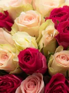 Букет Микс Нежная Роза Кения 45см