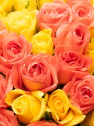 Букет Микс 51 Яркая Роза Кения 45см