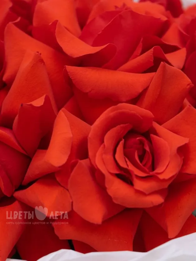 Букет: &laquo;Ажурный янтарь 15&raquo;