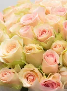 Букет: 51 Нежно-Розовая Роза Кения 45см