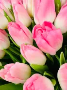 Букет: &laquo;Нежно-розовые тюльпаны 101&raquo;