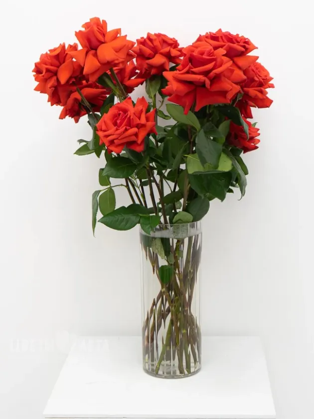 Букет: &laquo;Ажурная страсть&raquo;