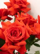 Букет: &laquo;Ажурная страсть&raquo;