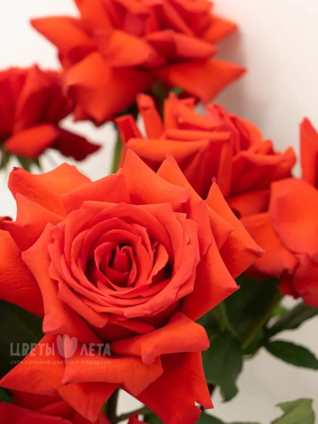 Букет: &laquo;Ажурная страсть&raquo;