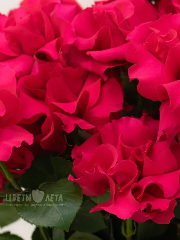 Букет: &laquo;Малиновый поцелуй&raquo;