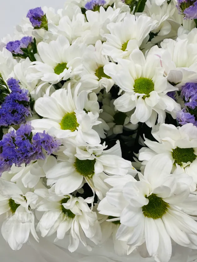 Букет: &laquo;Небесная Роса&raquo;