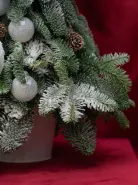 Композиция: &laquo;Ледяная Ель&raquo; 