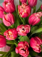 Композиция: &laquo;Свет Рождества&raquo;