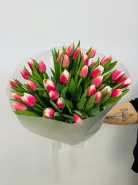 Букет: &laquo;Тюльпан с розовой каемкой&raquo;