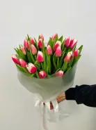 Букет: &laquo;Тюльпан с розовой каемкой&raquo;