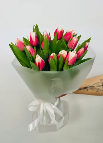 Букет: &laquo;Тюльпан с розовой каемкой&raquo; от интернет-магазина цветов в 