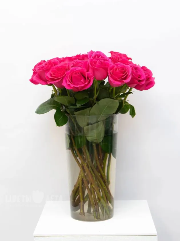 Роза Эквадор 60см