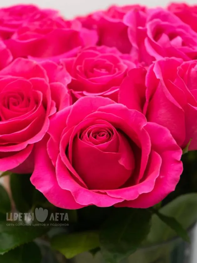 Роза Эквадор 60см