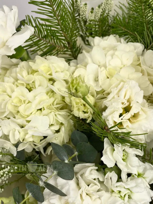 Букет: &laquo;Ботаника&raquo;