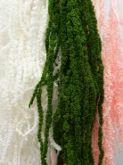 Амарант Розовый