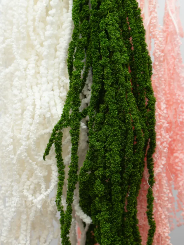 Амарант Розовый