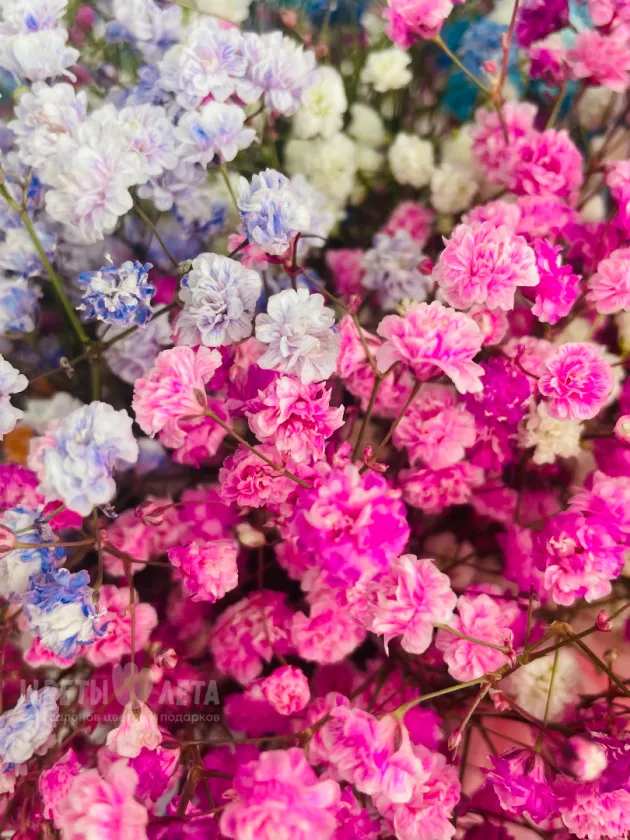 Композиция: &laquo;Радуга Гипсофилы&raquo;