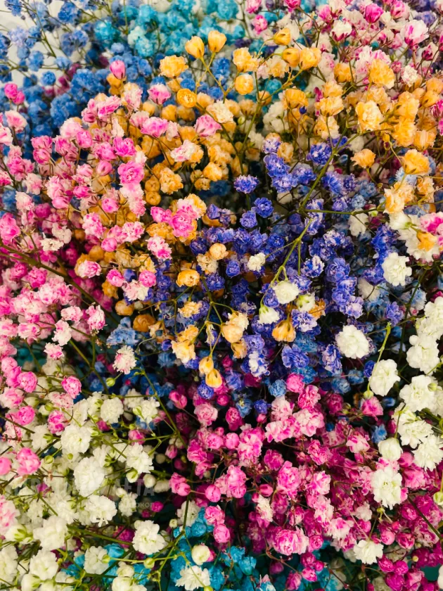 Букет: &laquo;Радужная Гипсофила&raquo;