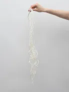 Амарант Белый