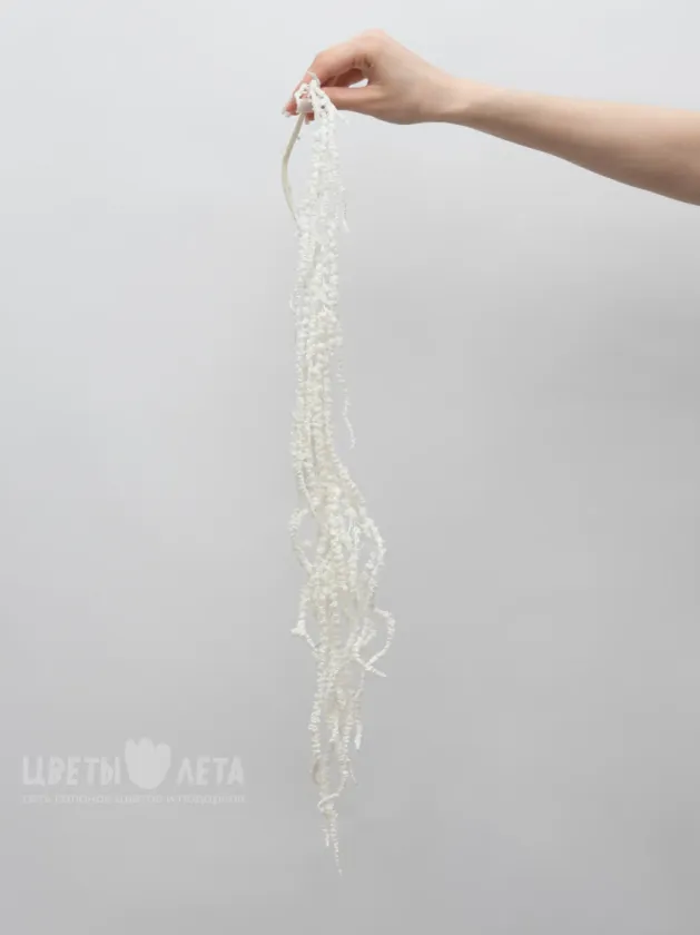 Амарант Белый