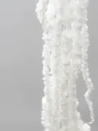 Амарант Белый