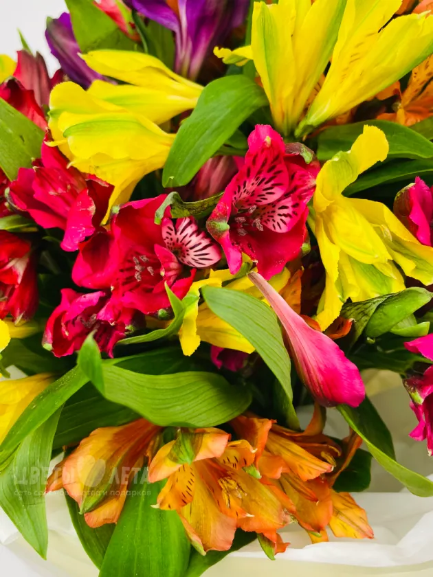 Букет: &laquo;Цветная Альстромерия&raquo;